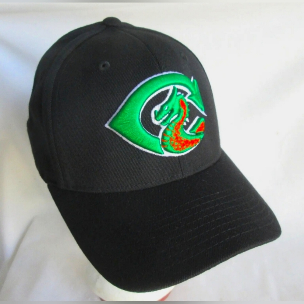 VTG Cameron Mo. Dragon Cap/Hat NWOT